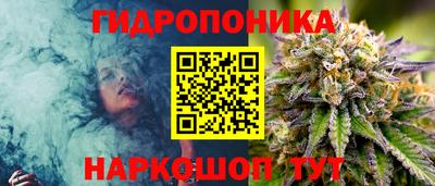сатива Аша