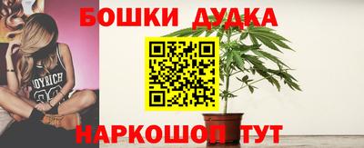 сатива Аша