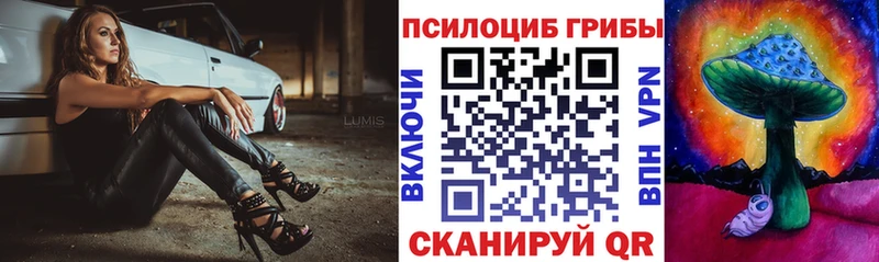 где продают наркотики  Альметьевск  Галлюциногенные грибы прущие грибы 