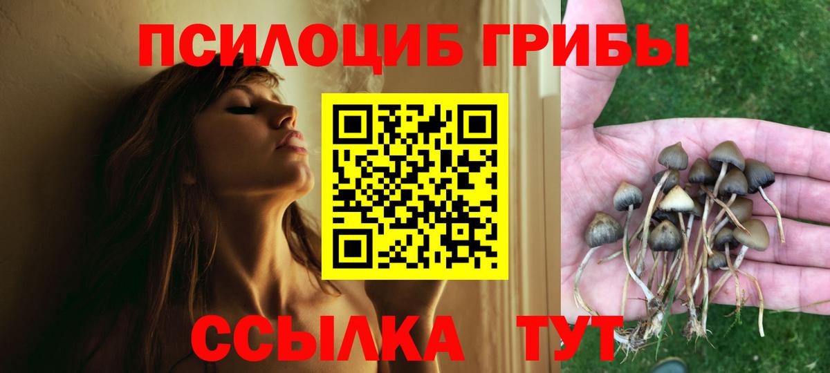 Псилоцибиновые грибы мицелий  Вход с VPN  Альметьевск 